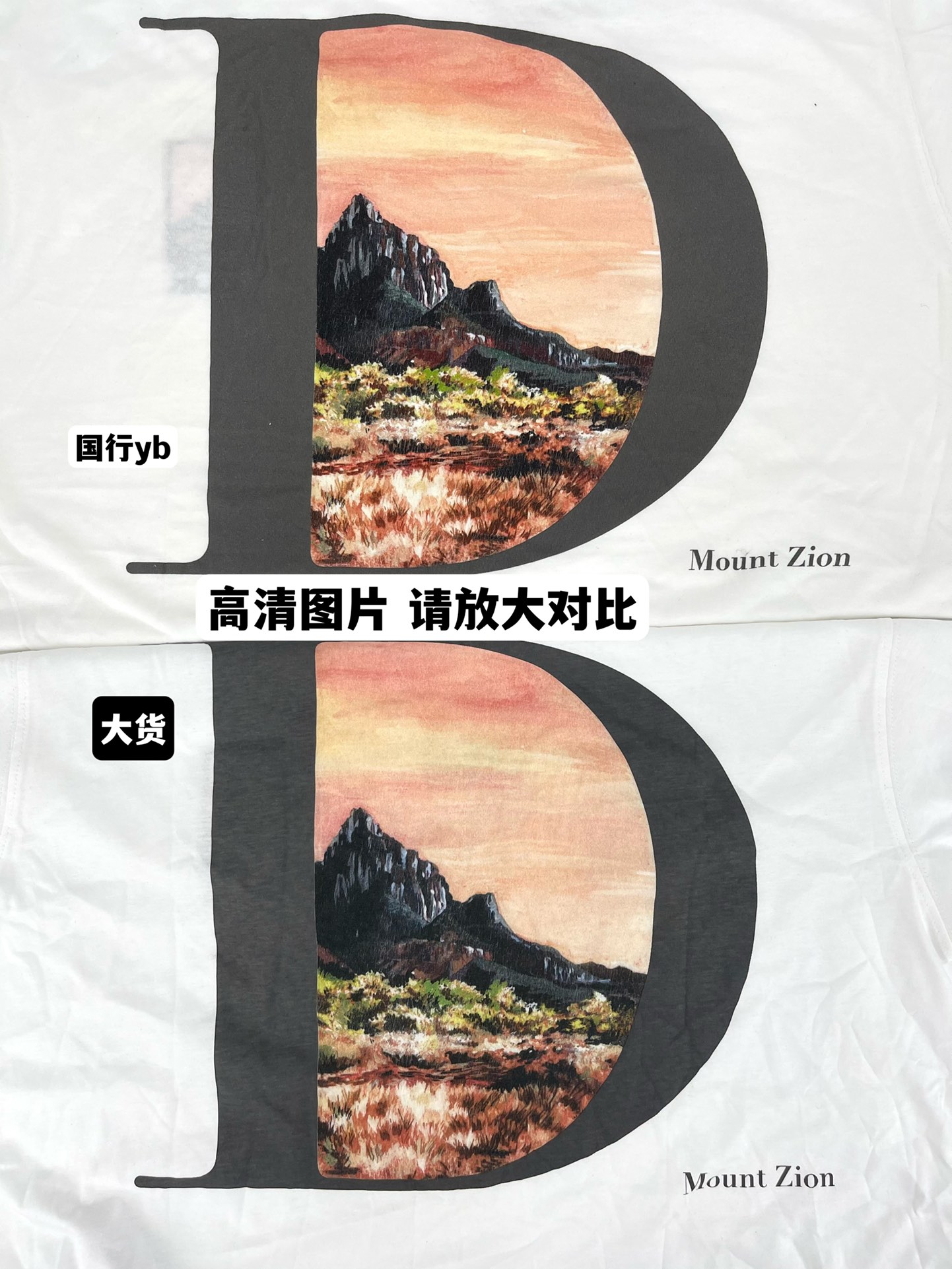 869a1fd375db5ceff1c14b3ae57d1ec0_1657603590_3472.jpg