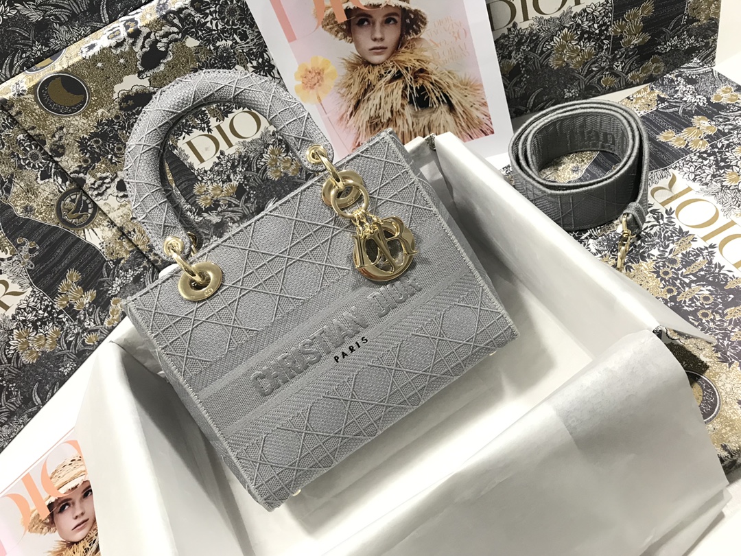 [DIOR/SA급] 디올 디라이트 미디엄백