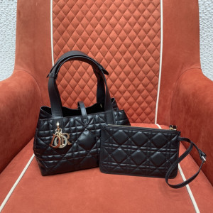 [DIOR/OC] toujours 뚜주흐 뚜주르 스몰 백